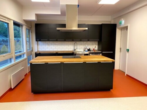 Tømrermester Darius Basinskas