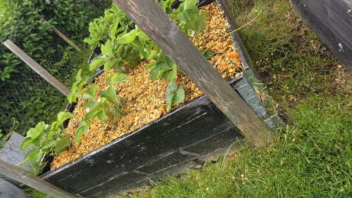 Hell Maskin - Fossum