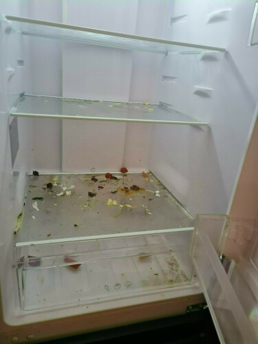 Happy Buddha Nerijus Gerve