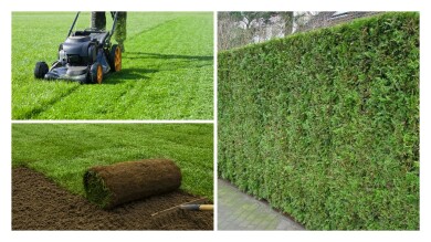 Lucy Eco-utemiljø Welesamiel