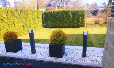 Ren & Fin AS Ren & Fin AS