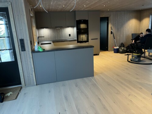 Trysil Bygg & Vaktmesterservice AS