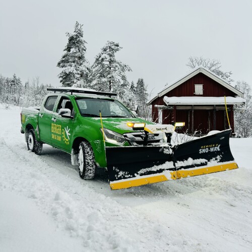 Berger Snø Og Grønt