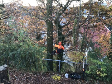 Markus Trefelling & Arborist Service Markus Trefelling & Arborist Service