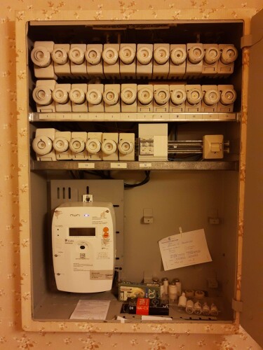 Espen Svanemsli-Dørdal