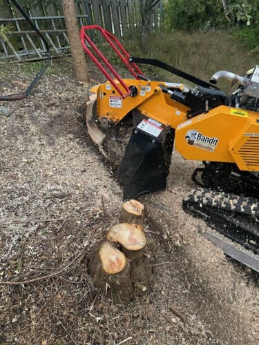 Birkeland Skog Og Maskin AS