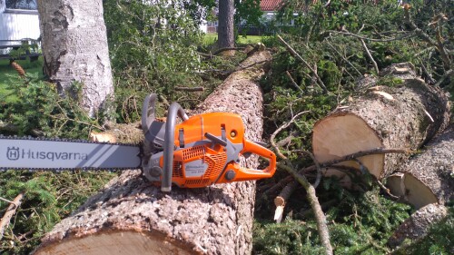 Fleischer Trefelling