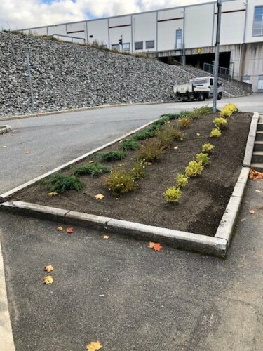 Gudøy Graveservice AS