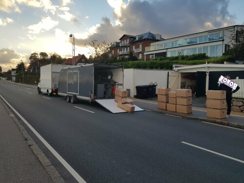 Viking Flyttetransport DA