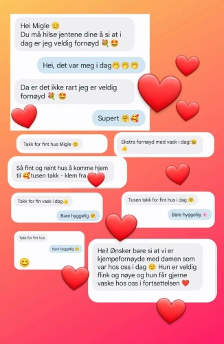 Double M Renhold, Apolskyte