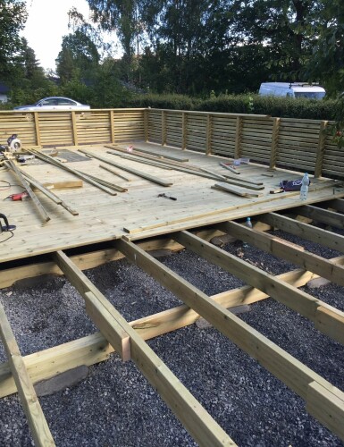 Busy Bees - Karol Pietrak