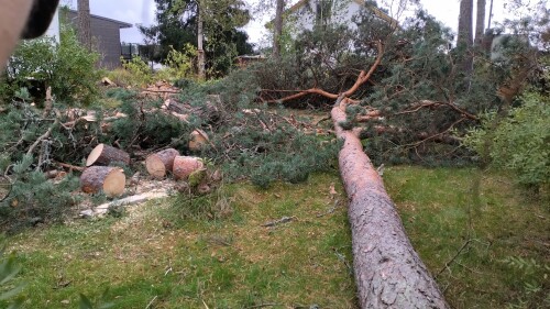 Fleischer Trefelling