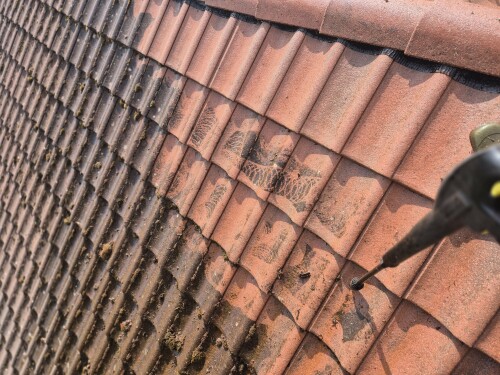 Malerfirma Norik Gashi