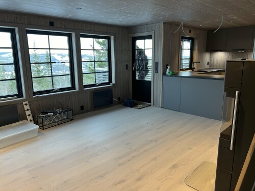 Trysil Bygg & Vaktmesterservice AS