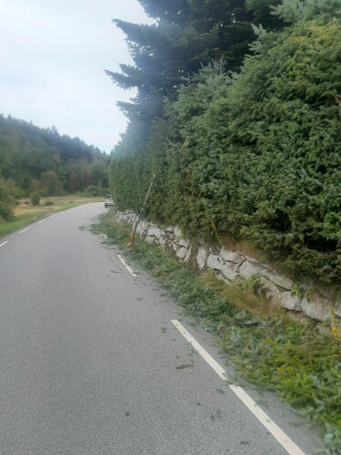 Birkeland Skog Og Maskin AS