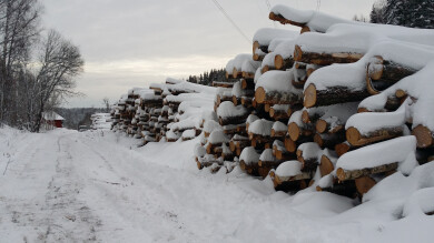 Skog & Hageservice Tor Grimstad