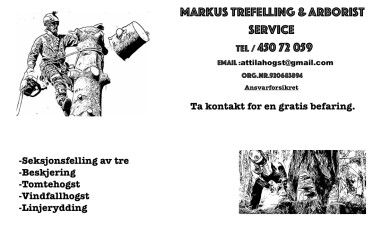 Markus Trefelling & Arborist Service Markus Trefelling & Arborist Service