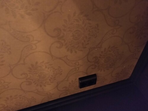 Espen Svanemsli-Dørdal