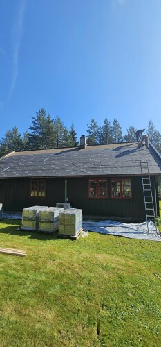 Constantin Tofolan Multiservice