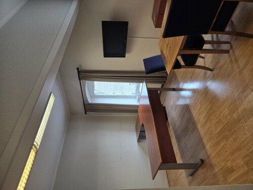 Maler & Reparasjonspartner Ceobanu