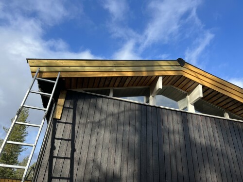 Trysil Bygg & Vaktmesterservice AS