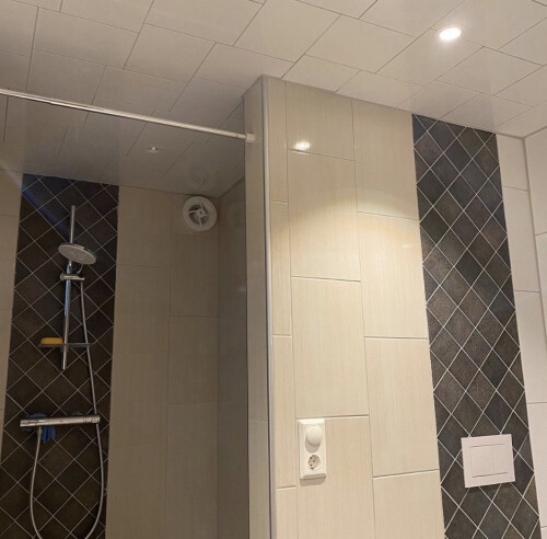 Qorban Stein Solid AS