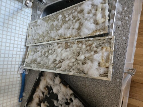 Maler & Reparasjonspartner Ceobanu