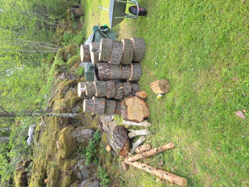 Maler & Reparasjonspartner Ceobanu