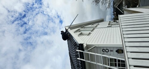 Constantin Tofolan Multiservice