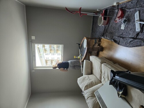 Maler & Reparasjonspartner Ceobanu