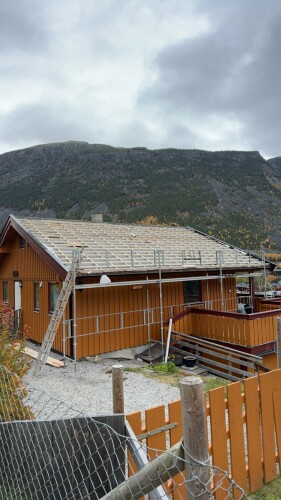 Fanebust Tak Og Fasade