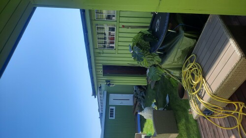 Alkhalil Byggservice