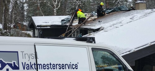 Trysil Bygg & Vaktmesterservice AS