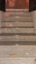 Gedas Bygg AS Gedas Bygg AS