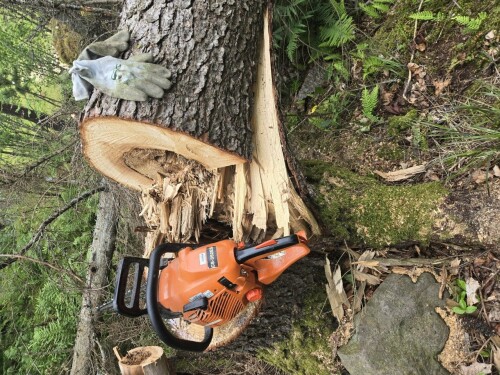 Maler & Reparasjonspartner Ceobanu