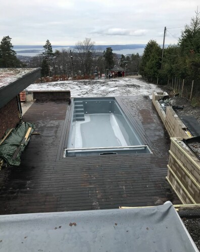 Busy Bees - Karol Pietrak