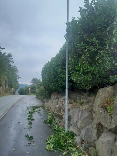 Birkeland Skog Og Maskin AS