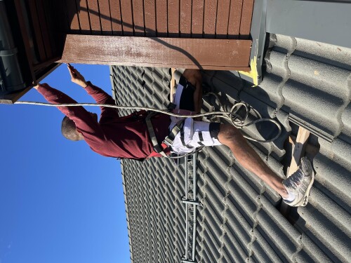 Md Barbosa Da Silva Malertjeneste