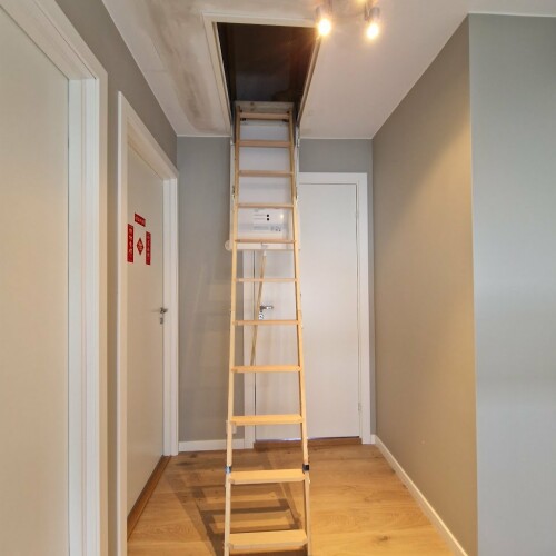 Snekker Omid Javanmiri