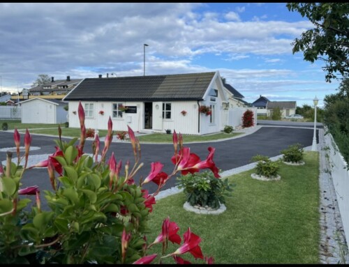 Vaktmester Og Hageservice AS