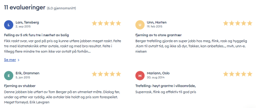 Berger Snø Og Grønt