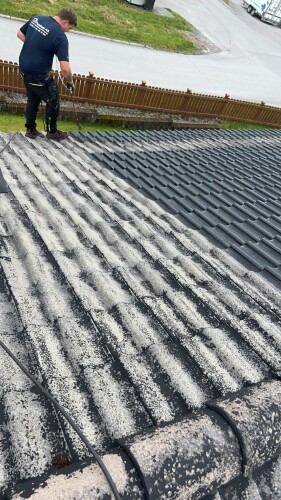 Fanebust Tak Og Fasade