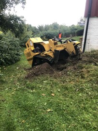 Bekk Trefelling & Trepleie