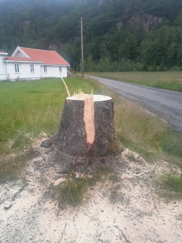 Birkeland Skog Og Maskin AS