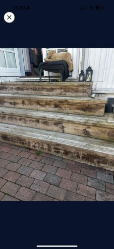 Md Barbosa Da Silva Malertjeneste