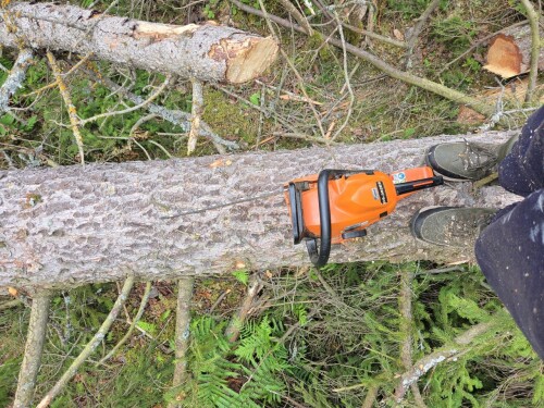 Maler & Reparasjonspartner Ceobanu