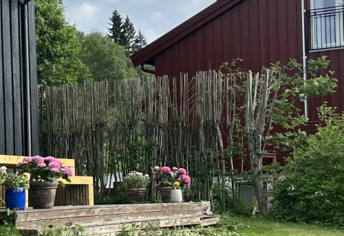 Sztyblewski Overflateteknikk