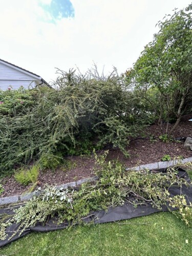 Totalhjelpen Ungdomsbedrift