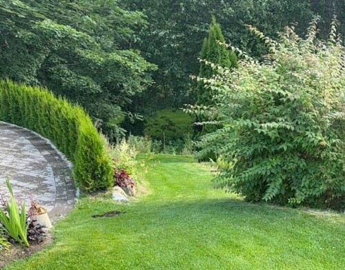 Johansen Hage Og Grave Tjenester