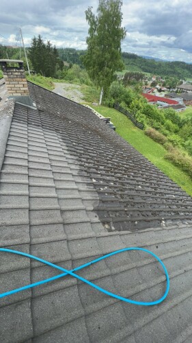 Fanebust Tak Og Fasade